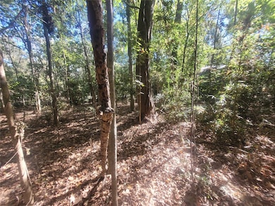 0 Lakeside Dr, Cleveland, TX 77327 - photo 3