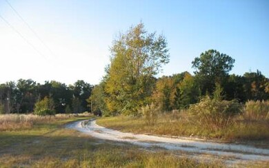 0 250th Terrace, Obrien, FL 32071 - photo 3