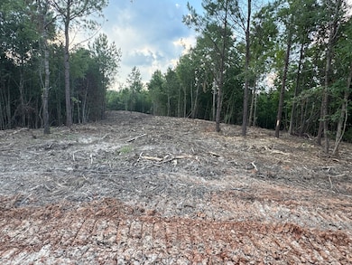 0 Arvada Dr unit 24059220, Northport, AL 35473 - photo 4