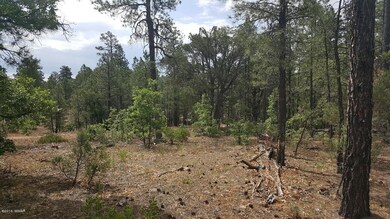 20160624_092000_resized