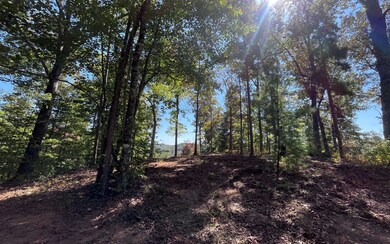 Additional View