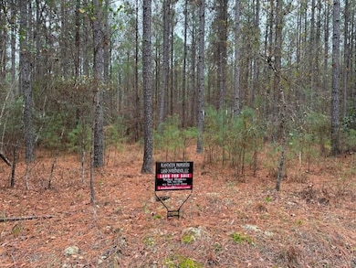 Youngblood Rd, Sparta, GA 31087 - photo 7