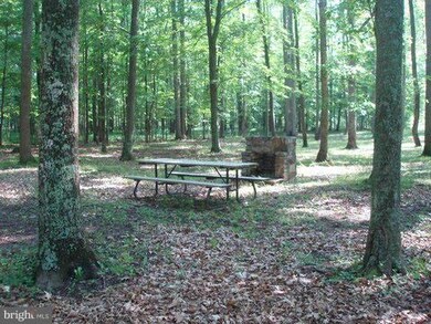 46 Honey Locust Ln, Great Cacapon, WV 25422 - photo 7