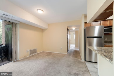 7857 Enola St unit 107, McLean, VA 22102 - photo 4