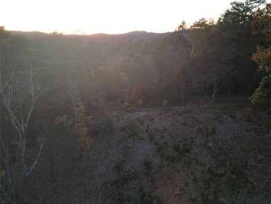 Mixed hardwood and pine.