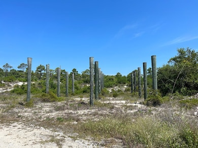 Lot 8 Moonrise Ave, Port St. Joe, FL 32456 - photo 5