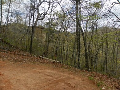 0 Hummingbird Hill Rd unit 26008252, Cowee, NC 28734 - photo 2