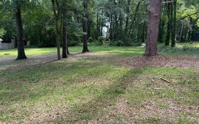 TBD Lake Valley Terrace, Lake City, FL 32055 - photo 2