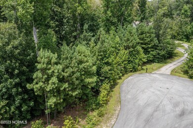 4-web-or-mls-DJI_0347