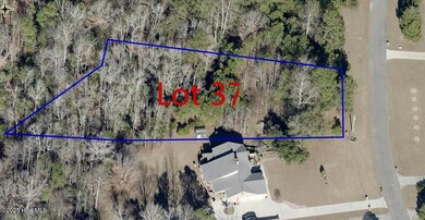 109 Sterling Dr, Sneads Ferry, NC 28460 - photo 4