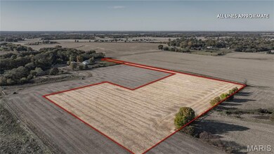 0 W County Line Rd unit Tract 2, Brighton, IL 62012 - photo 7