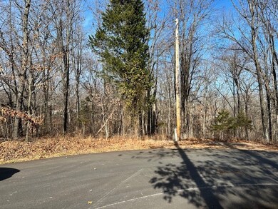 Lot 16 Saxilby Ln, Bella Vista, AR 72715 - photo 3