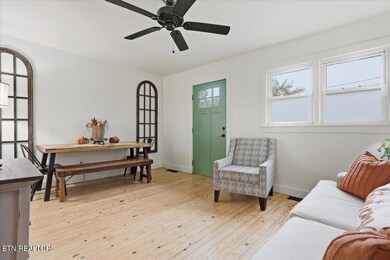 1111 Tinsley Ln, Dandridge, TN 37725 - photo 6