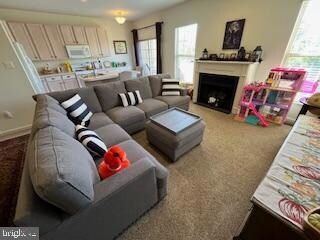 12 Dunkirk Ct unit 16C, Norristown, PA 19403 - photo 6