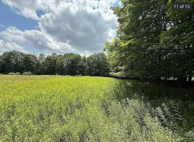 125 Dimmick Mountain Rd, Middletown, NY 12430 - photo 3