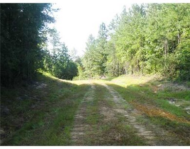 0 Barton Agricola Rd unit 3231818, Lucedale, MS 39452 - photo 2