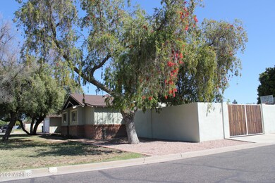 1109 N Forest, Mesa, AZ 85203 - photo 7