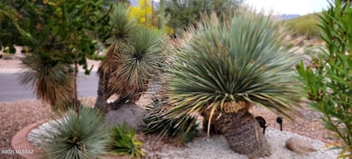 4504 N Camino Campero, Tucson, AZ 85750 - photo 4