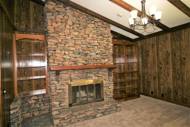 Fireplace & Built-in
