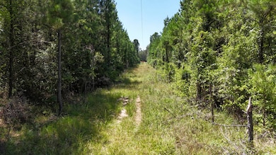 TBD Selma Loop, Georgetown, LA 71432 - photo 3