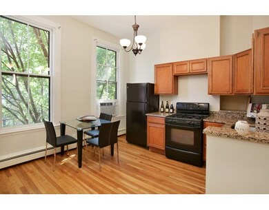 22 E Springfield St unit 2, Boston, MA 02118 - photo 4