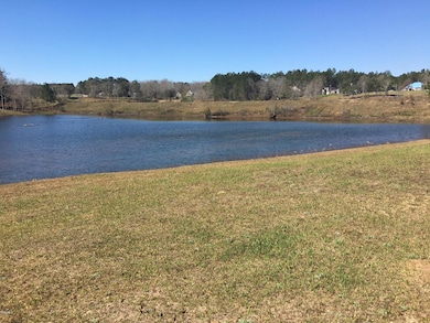 2.01 Acres Blue Spring Rd, Lucedale, MS 39452 - photo 3