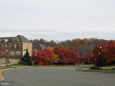 20375 Cottswold Terrace unit 74, Sterling, VA 20165 - photo 7