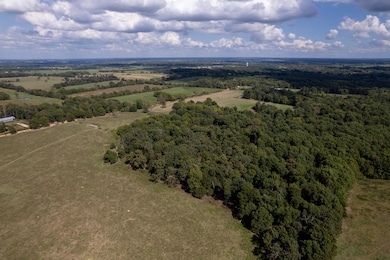 03 Carnell Rd, Rocky Comfort, MO 64861 - photo 3