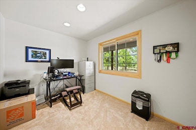 1010 Canyon Dr, Ridgway, CO 81432 - photo 7
