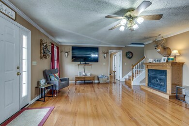 353 Major Rd, Cornersville, TN 37047 - photo 6