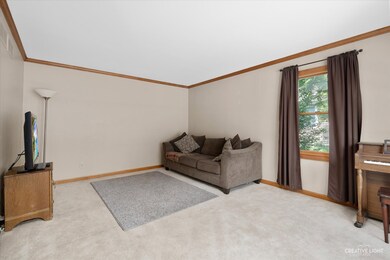 421 Meadowrue Ln, Batavia, IL 60510 - photo 4