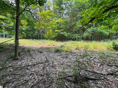 Lot #2 E Bellinger Rd, Cedar, MI 49621 - photo 6