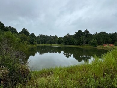 Large pond