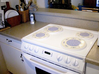Stove detail