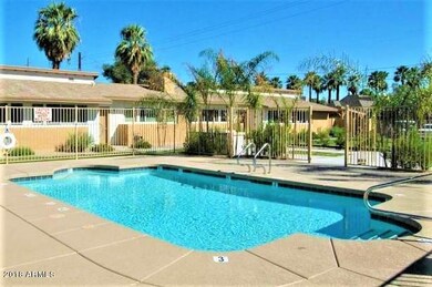 Complex Pool