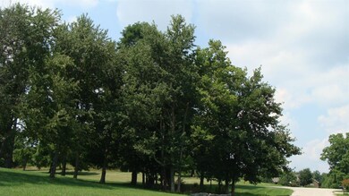 113 Locust Grove Dr unit 15, Georgetown, KY 40324 - photo 4