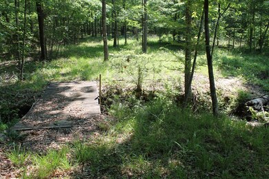 2178 Partridge Town Rd, Lincolnton, GA 30817 - photo 7