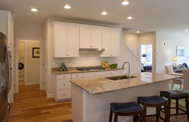 16 Farmstead Ln unit 8, Sudbury, MA 01776 - photo 3