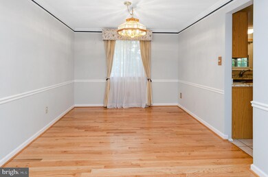 4304 Sugar Pine Ct, Burtonsville, MD 20866 - photo 6