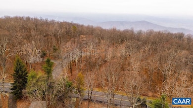 579 Laurel Springs Dr unit PRYOR CAMP II 25, Roseland, VA 22967 - photo 6