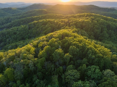 1166 Monacan Trail Rd, Charlottesville, VA 22903 - photo 4