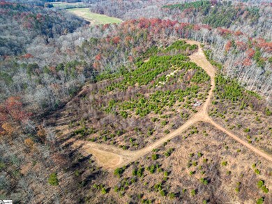 0 Skyland Dr, Greenville, SC 29607 - photo 5