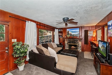 Living Room and Fireplace