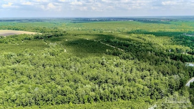 48 Watson Rd, Jay, FL 32565 - photo 4