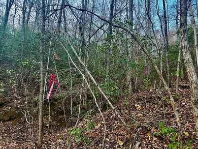 0 Bradley Creek Rd unit 26042870, Cowee, NC 28734 - photo 5