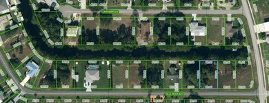 105 Blue Moon Ave, Lake Placid, FL 33852 - photo 5