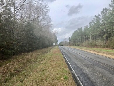 000 Old Hwy 24, McComb, MS 39648 - photo 2