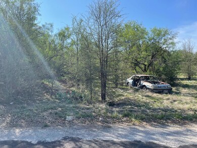 000 County Road 550, Brownwood, TX 76801 - photo 2