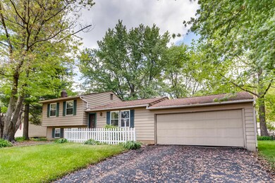 651 Sycamore Dr Pickerington-large-001-4