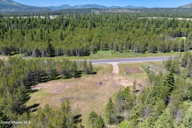 Aerial_20408NCrookedRockLn-5